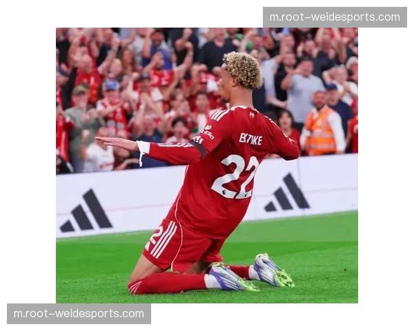 埃基蒂克无球跑动串联前场 利物浦进攻体系因他全面升级 埃基蒂克无球跑动串联前场 利物浦进攻体系因他全面升级